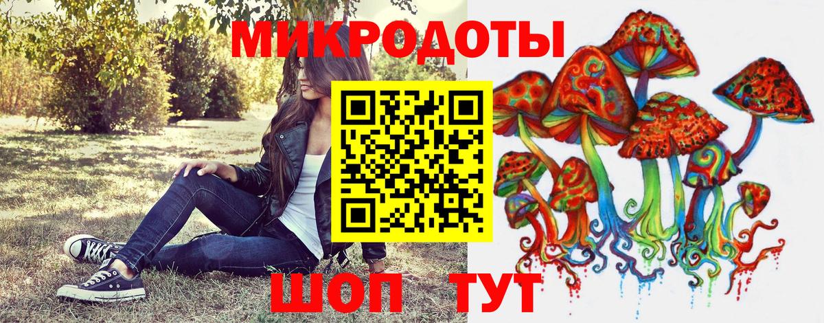 купить наркотик  Псилоцибиновые грибы Cubensis  Вход с VPN  Михайловка 